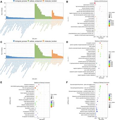 Transcriptome Analysis of mRNAs and Long Non-Coding RNAs During Subsequent Embryo Development of Porcine Cloned Zygotes After Vitrification